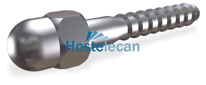 P029702.png Tornillo barraquero con embellecedor 40x6 mm.