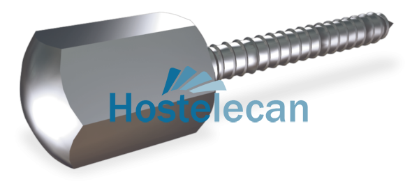 Tornillo barraquero con embellecedor 65x10 mm.